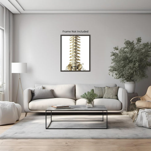 Posterizer 1 pcs-detailed anatomical illustration of the human spinal column 4-Teachers & Classrooms-Abstract & Modern Art-School and classroom ar...